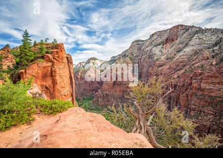 Ansicht von der Oberseite der Angel Landing Trail im Zion National Park. Stockfoto