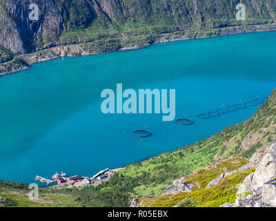 Blick über den Fjord Örnfjord, Käfigen der Lachszucht im Fjord, von Wandern bis Grytetippen zu Spitze, Insel Senja, Troms, Norwegen Stockfoto