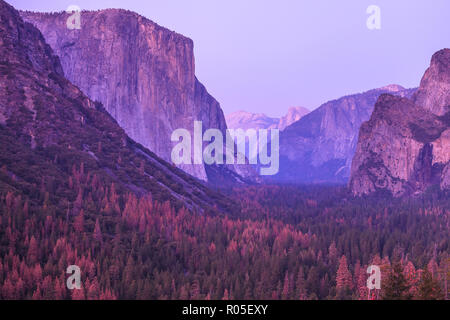 Tunnel Blick Blick auf Magenta Sonnenuntergang in Yosemite National Park. Nahaufnahme auf der beliebten El Capitan und Half Dome während einer rosa violett Sonnenuntergang in Kalifornien, USA. Stockfoto