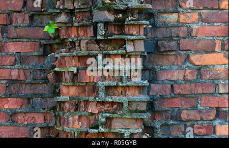 Eine alte Mauer einstürzte, rissig, Bröckelnden roten Ziegeln. Red Brick Textur Hintergrund Stockfoto