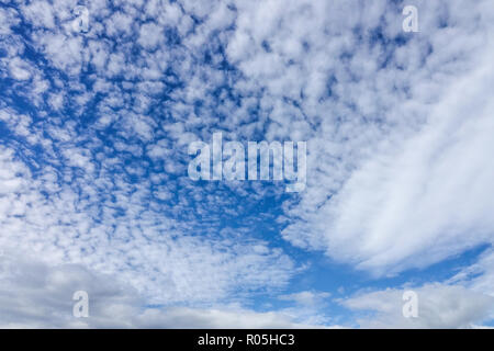 Cirrocumulus High Sky White Cumulus Wolken am blauen Himmel Sommerwetter Wolkenlandschaft Stockfoto