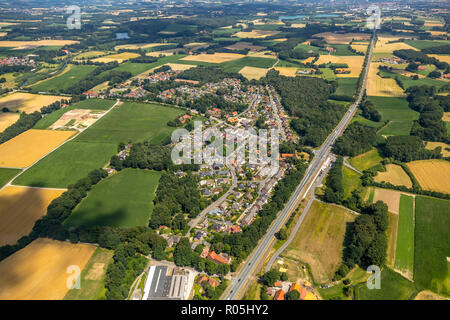 Luftaufnahme, River, River Forest, in der Nähe von One, Warendorf, Münsterland, Nordrhein-Westfalen, Deutschland, Europa, DEU, Vögel-Augen-blick, Luftaufnahme, Aeria Stockfoto