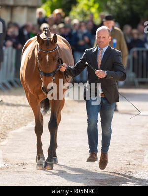 Michael Jung und LA BIOSTHETIQUE SAM FBW - während die Tierärzte, Inspektion, Mitsubishi Motors Badminton Horse Trials, Badminton, Gloucestershire, 2018 Stockfoto