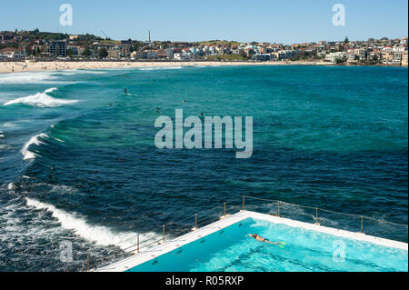 Sydney, Australien, Schwimmer am Bondi Eisberge schwimmen Verein Stockfoto