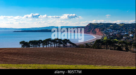 Budleigh Bay, Devon, Großbritannien. Blick nach Westen und zeigt gerade, West, Rundumleuchte, Budleigh Salterton Stadt und Strand und, im Vordergrund, der Stan Stockfoto