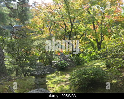 Blick auf einen traditionellen japanischen Garten Landschaft im Herbst; die Kaiserliche Villa Katsura, Kyoto, Japan Stockfoto