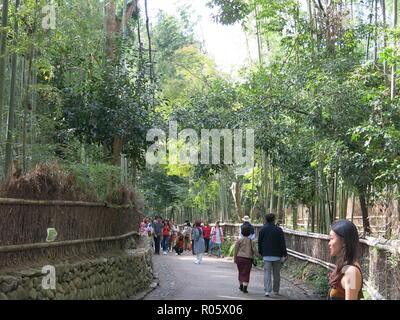 Touristen entlang einer der Wege, die von den hoch aufragenden Baumstämme in Arashiyama Bamboo Grove/Sagano Bambuswald, Kyoto, Japan in den Schatten gestellt Stockfoto