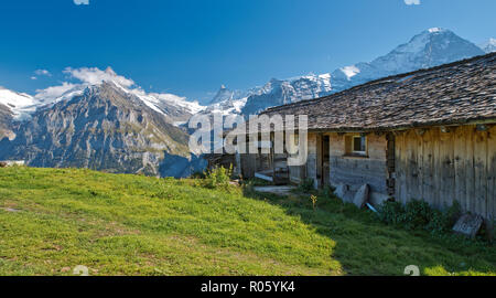 Bussalp mit der Eiger Nordwand in der Rückseite, Grindelwald, Jungfrau Region, Berner Oberland, Schweiz Stockfoto