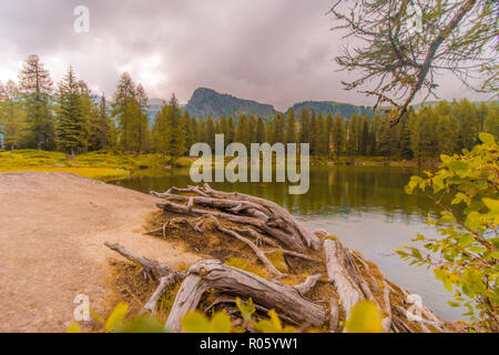 Lago San Pellegrino im Sommer, umgeben von Natur Stockfoto