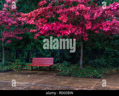 Red Bank unter Herbstfarben an einem regnerischen Tag. Stockfoto