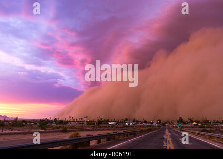 Haboob Staubsturm in der Wüste bei Sonnenuntergang in der Nähe von Wellton, Arizona, USA Stockfoto