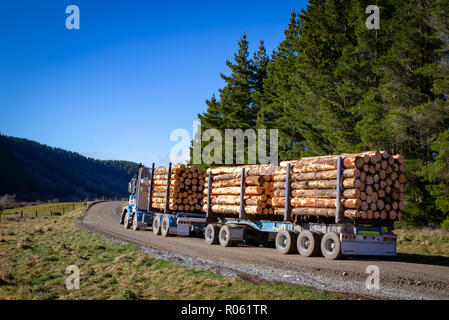 Ein Protokoll LKW-Transporte Kiefer aus der Forstwirtschaft Website des Sägewerks in Canterbury, Neuseeland Stockfoto