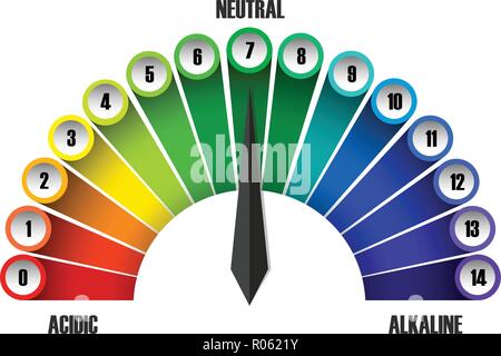 Eine pH-Skala auf weißem Hintergrund Abbildung Stock Vektor