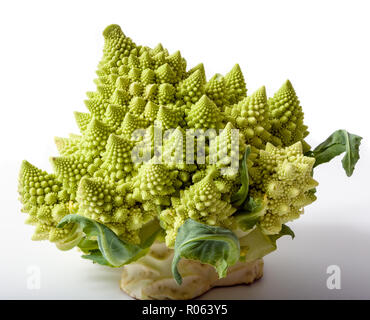 Römische Blumenkohl, Romanesco Brokkoli (Brassica oleracea) Stockfoto