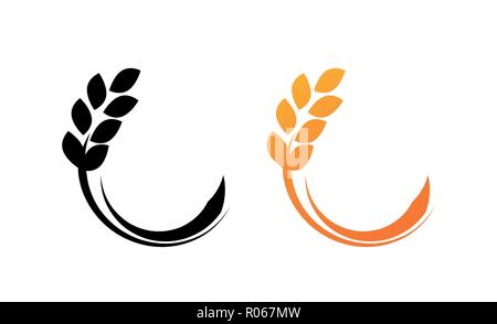 Weizenähren isoliert auf weiss Vector Illustration für landwirtschaftliche Produkte auf den Markt Stock Vektor