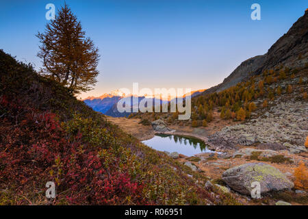 Herbstlicher Sonnenaufgang am Monte Disgrazia und Seen von Campagneda, Valmalenco, Veltlin Sondrio Provinz, Lombardei, Italien, Europa Stockfoto