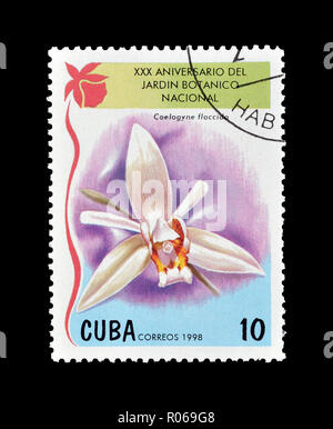 Storniert Briefmarke gedruckt von Kuba, zeigt, dass Orchidee Coelogyne flaccida, circa 1998. Stockfoto