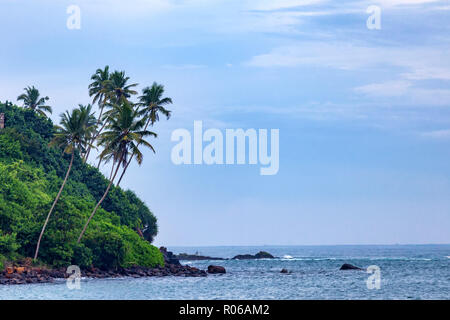 Schöne Aussicht auf den tropischen Küste in Mirissa, Sri Lanka Stockfoto