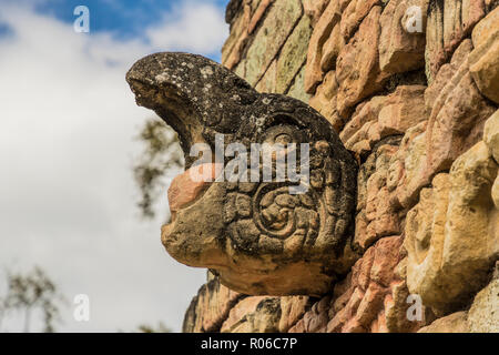 Die schreienden Ara am Ball Court in Copan Ruinen, UNESCO-Weltkulturerbe, Copan, Honduras, Mittelamerika Stockfoto