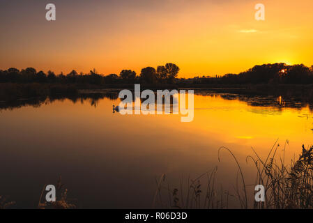 Torbiere del Sebino Naturpark, Brescia, Lombardei, Italien, Europa Stockfoto