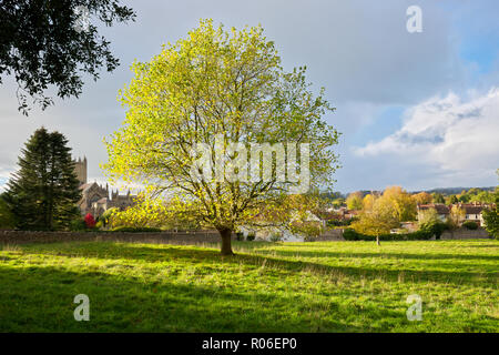 Sonnenuntergang in Wells, Somerset, Großbritannien Stockfoto