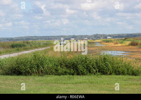 Lake Apopka Wildlife Drive Florida Stockfoto