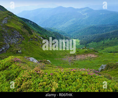 Kurvenreiche Straße im Tal umgeben von majestätischen Grün und Rocky Mountain Hills in Grün üppigen Gras, Büsche und rosa Rhododendron Blumen bedeckt. Tag Sommer Stockfoto