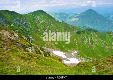 Tal umgeben von majestätischen Bergen Bergen und Gipfeln in grüne Wiesen, Wald bedeckt, Schnee Reste, Rhododendron Blumen. Sonnig bewölkt Tag in s Stockfoto