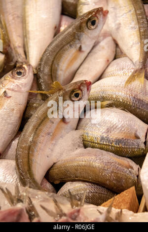 Kleine Fische zum Verkauf auf dem Markt Stockfoto
