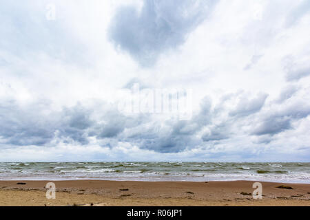 Ostsee mit Treibholz am Strand Stockfoto