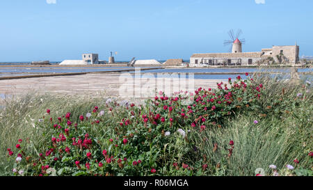 Blick auf Salt Museum, Trapani, Sizilien, Italien Stockfoto