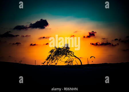 Schönen Sonnenuntergang über die Sanddünen im Naturpark von Corralejo Fuerteventura, Las-Palmas, Canary-Islands. Stockfoto