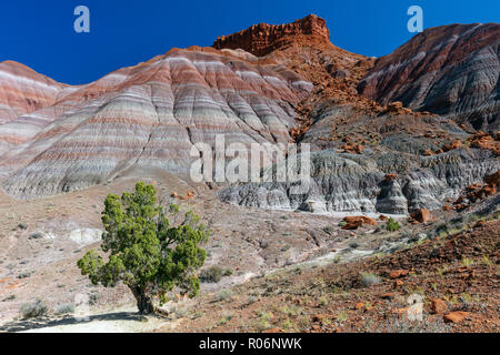 Badland Topographie durch die Trias Chinle Formation, alte Flüsse und Lakebeds mit unterschiedlichen Kompositionen vertreten wie Rainbow - wie Ribbon gebildet Stockfoto