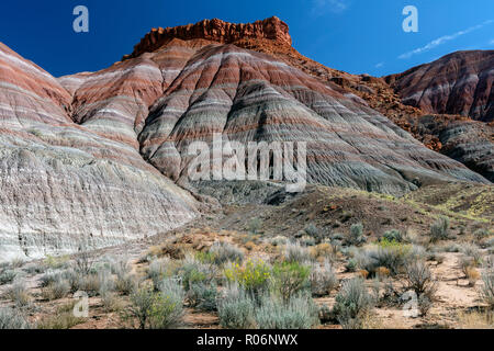 Badland Topographie durch die Trias Chinle Formation, alte Flüsse und Lakebeds mit unterschiedlichen Kompositionen vertreten wie Rainbow - wie Ribbon gebildet Stockfoto