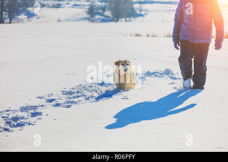 Glückliche Menschen mit Labrador Retriever Hund Spaziergänge auf dem verschneiten Feld im Winter in tiefem Schnee Stockfoto