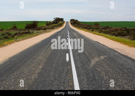Gerade asphaltierte Straße im Land Australien gehen durch ländliche landwirtschaftliche Fläche mit grünen Pflanzen auf beiden Seiten der Straße in South Australia Stockfoto