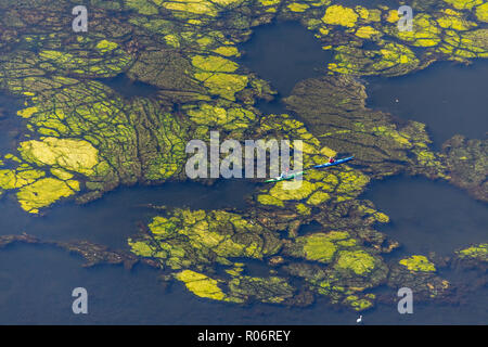 Luftaufnahme, Kanufahrer auf der Hartkortsee in der Nähe des ehemaligen Marina Hartkortsee, Hagen, Ruhrgebiet, Nordrhein-Westfalen, Deutschland, Europa, Wetter (Ruhr Stockfoto