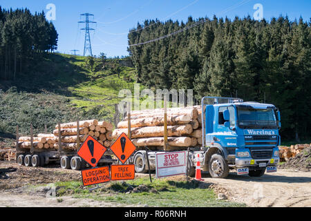 Opuha, South Canterbury/Neuseeland - 14. September 2018: eine Protokollierung Lkw beladen mit Logs zu Timaru für den Export zu transportieren Stockfoto