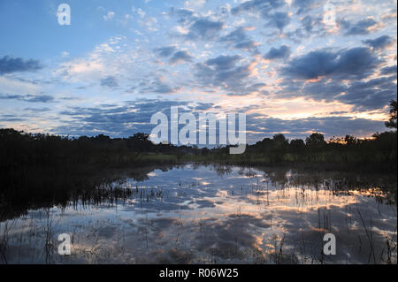 Sonnenaufgang auf dem See im Wald mit Wolken. Morgen Landschaft. Stockfoto