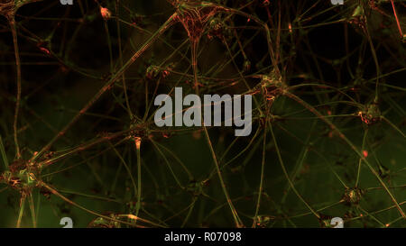 3D-Rendering der künstlichen Intelligenz. Netzwerke von künstlichen Nervenzellen und Synapsen im Gehirn eines Roboters, durch die elektrischen Impulse und Stockfoto