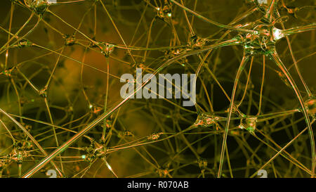 3D-Rendering der künstlichen Intelligenz. Netzwerke von künstlichen Nervenzellen und Synapsen im Gehirn eines Roboters, durch die elektrischen Impulse und Stockfoto