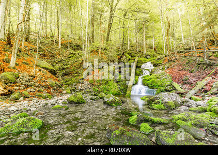 Cascade Falls über bemoosten Felsen. Schönen grünen Wald Szene, Strom von Wasser. Ruhige grüne Natur Hintergrund Konzept Stockfoto