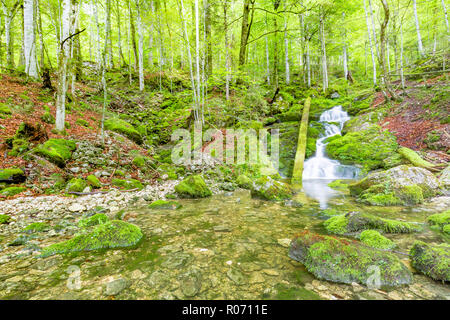 Cascade Falls über bemoosten Felsen. Schönen grünen Wald Szene, Strom von Wasser. Ruhige grüne Natur Hintergrund Konzept Stockfoto