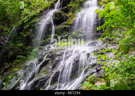 Deutschland, Wasserfall in der Nähe von Simonswald Zweribach in mystischen Schwarzwald Atmosphäre Stockfoto