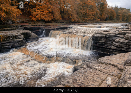 Aysgarth Falls sind eine dreifache Flug von Wasserfällen, von Wald und Ackerland umgeben, geschnitzt aus durch den Fluß Ure über einen Fast einen Kilometer langen auf Stockfoto