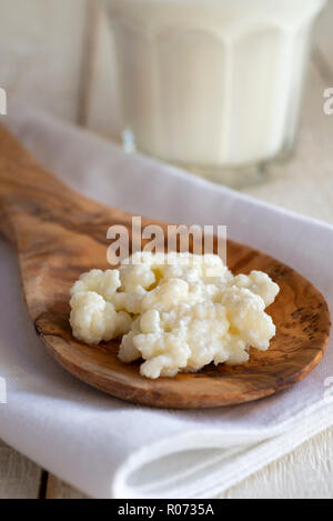 Nahaufnahme von Milch kefir Körner, eine fermentierte Milch kefir Trinken zu machen. Stockfoto