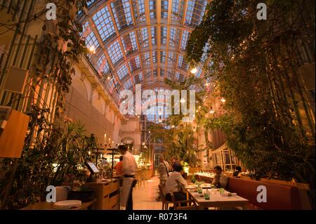 Wien, Burggarten, Palmenhaus, Innenraum von Eichinger und Knechtl 1998 Stockfoto