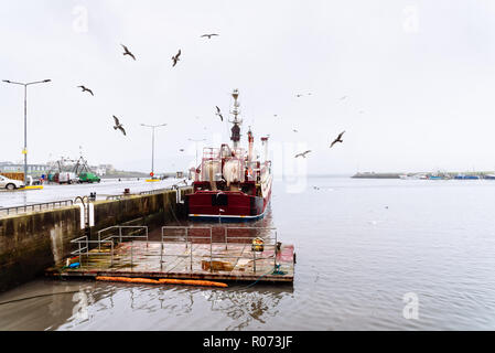 Angeln Boot vertäut im Hafen mit Möwen fliegen herum. Dingle, Irland. Bewölkten und regnerischen Tag Stockfoto