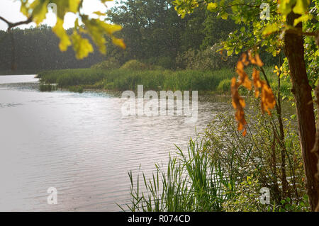 Regentropfen auf dem See, Regen und Sonne im Sommer Stockfoto