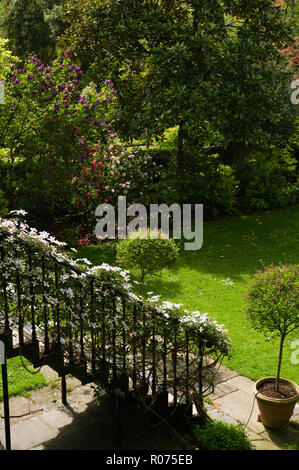 Blumen am Geländer im Garten Stockfoto